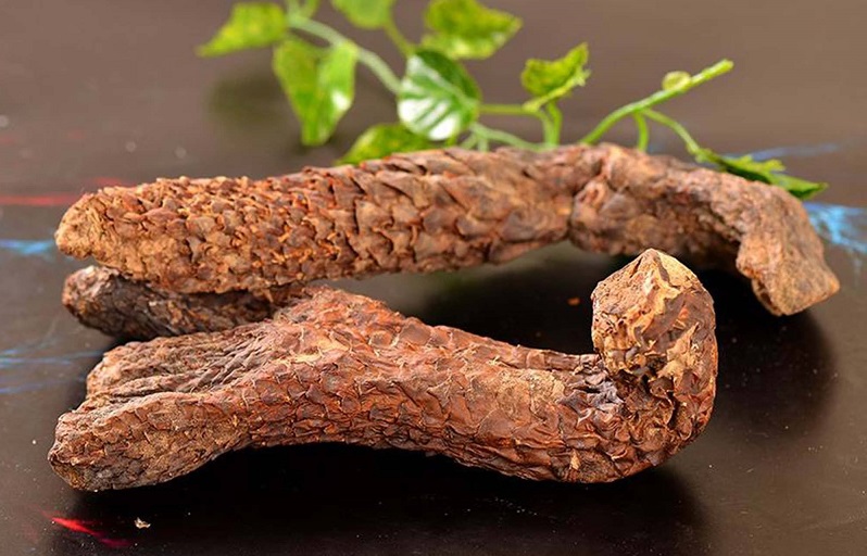固精止泄最强中成药