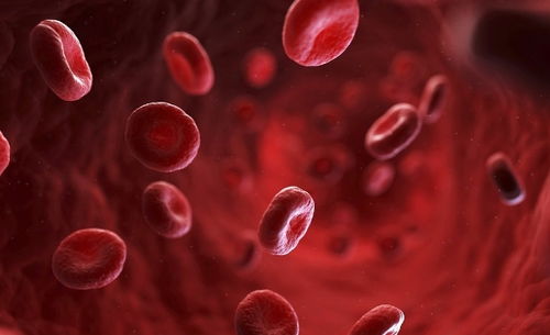 �������ƻ�����2�¿�Ļ ȫ�˻�Ԫ�������͵ƶ���