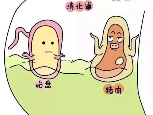 糖尿病肾病是透析好还是换肾好 糖尿病肾病是透析好还是换肾好