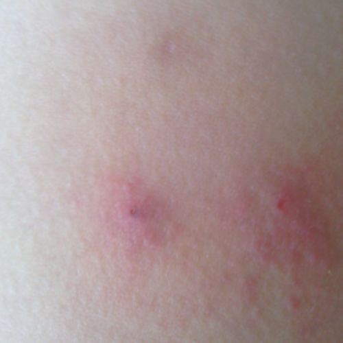 ���̲�������Ҫ����