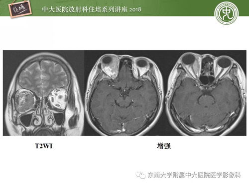 九州天空城演员表全部 九州天空城演员表全部