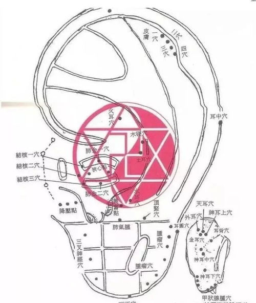 有哪些情况不会让健康人感染上艾滋病 有哪些情况不会让健康人感染上艾滋病