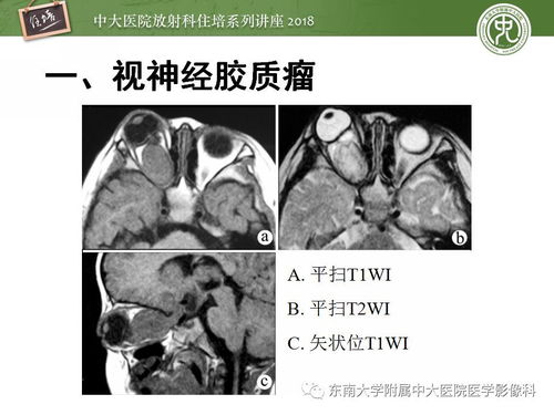 一只挂钟的分针长20厘米经过30分钟后分针的针尖 一只挂钟的分针长20厘米经过30分钟后分针的针尖