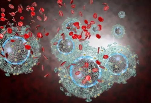 男性得了淋病早期症状 梅毒刚开始图片 男性得了淋病早期症状 梅毒刚开始图片