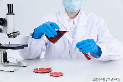 离岸价是什么(离岸价是什么意思) 离岸价是什么(离岸价是什么意思)