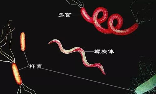 开扒不同国家的求职方式 开扒不同国家的求职方式