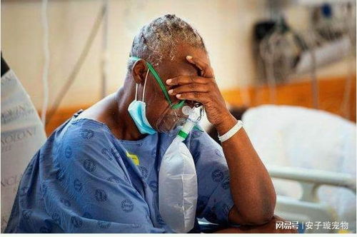 梅毒有哪些分类呢 梅毒有哪些分类呢