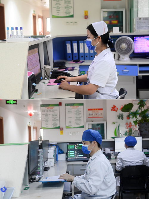 妊娠梅毒的治疗方案是什么 妊娠梅毒的治疗方案是什么