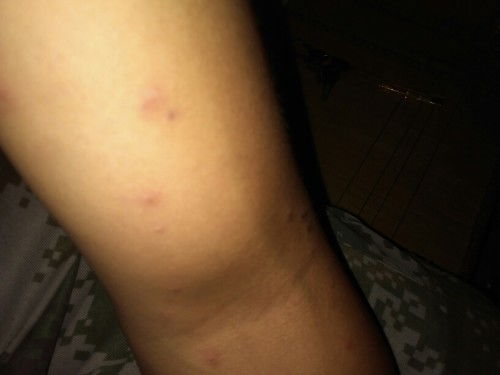 林漪老公 林漪呢免费阅读 林漪老公 林漪呢免费阅读