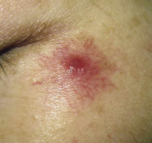 �����ܴ����ܲ�ϸ����