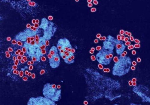 ̩���������Ϲܿش�ʩ �����������ȼ�ϼ���������