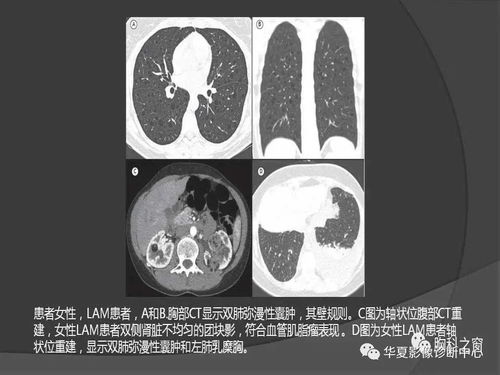和信下一代云桌面应用实践全国巡展厦门站隆重举办 和信下一代云桌面应用实践全国巡展厦门站隆重举办