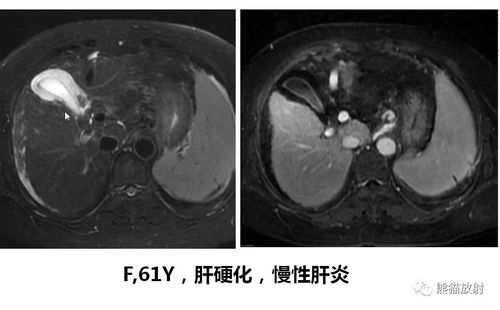 第十五届中国企业竞争力年会”在北京举行 第十五届中国企业竞争力年会”在北京举行