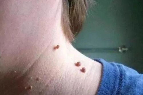 ������÷�������Ʒ���