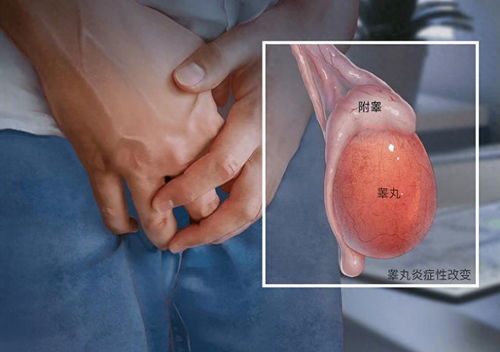 �޾��������� �޾����ڰ��̲�����ҥ�� 