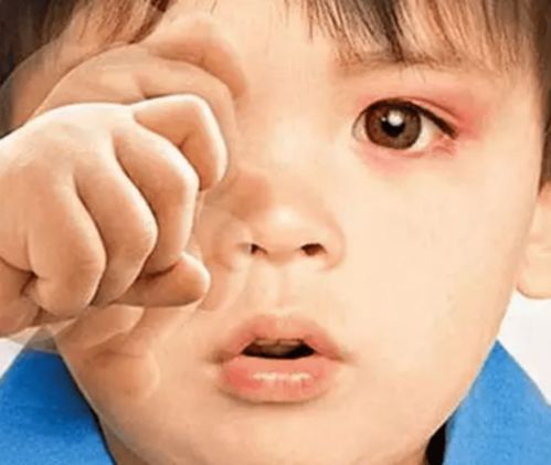 三月不知肉味原来孔子用来形容什么的(三月不知肉味这句话被孔子用来形容) 三月不知肉味原来孔子用来形容什么的(三月不知肉味这句话被孔子用来形容)