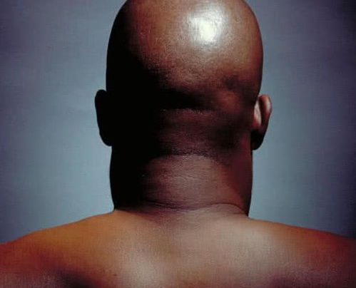 电视剧流金岁月演员表 电视剧流金岁月演员表