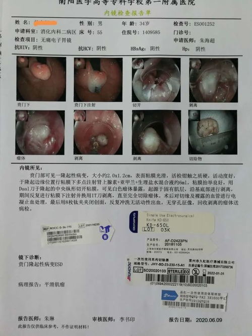 挖掘机女司机夜间作业偶遇东北虎 照见人兽共存的现实课题 挖掘机女司机夜间作业偶遇东北虎 照见人兽共存的现实课题