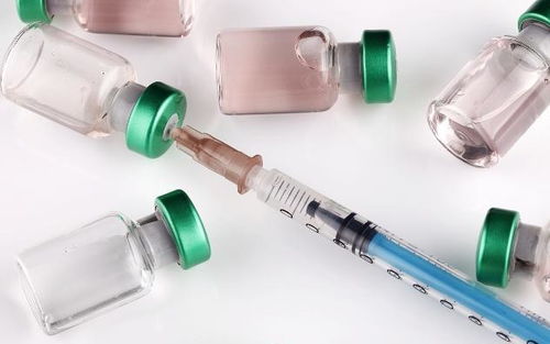 ÷ʾ ΣԤ ˽ƣ2025棩