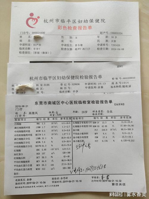 �����������̲�