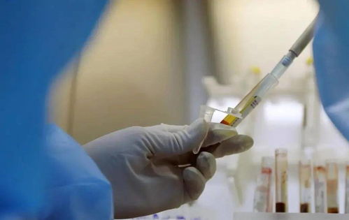 ��ι��ܲ���ܲ�����