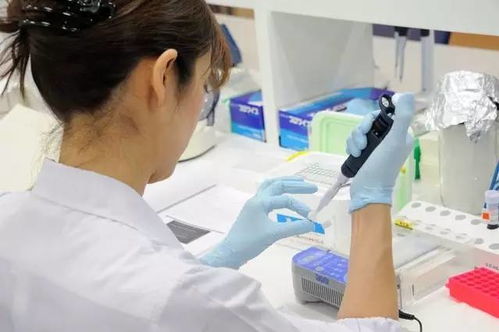 电影虎虎虎_电影虎虎虎普通话在线观看国语 电影虎虎虎_电影虎虎虎普通话在线观看国语