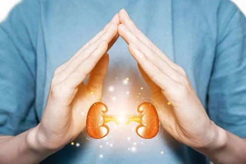 �ܲ��ܲ��ܺȻ�������