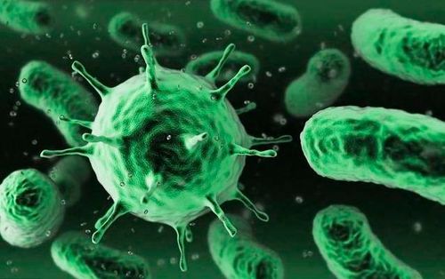 硫酸糖核霉素能治淋病吗 硫酸糖核霉素能治淋病吗