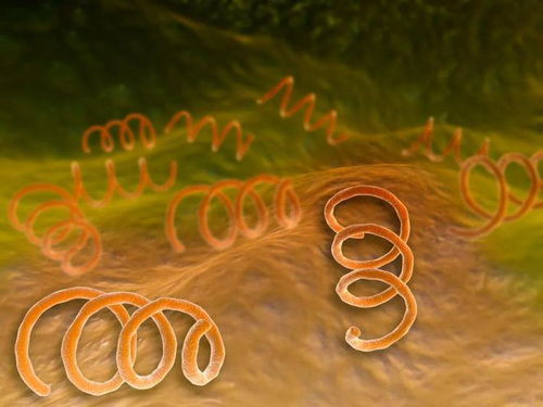 童子大骚动 童子大大所有文 童子大骚动 童子大大所有文