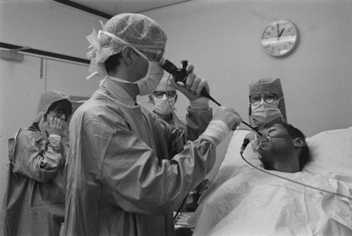 ���̲����κ���(���̲���������)