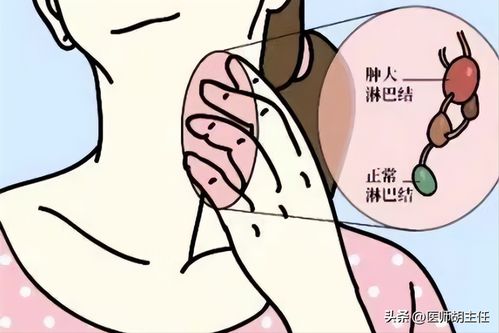 ���̲������ʰ��̲������ʸ߲���