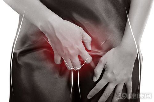 �����ϳ���С����ǲ��ǰ��̲��������ϳ��˼�������ǲ��ǰ��̲��� 