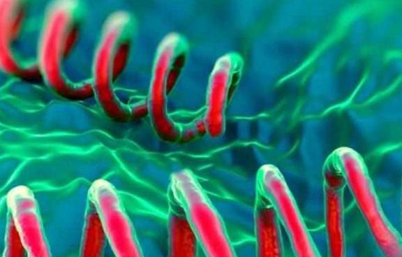 女性艾滋病原因 女性艾滋病原因