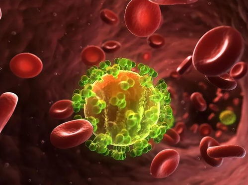 梅毒到底能不能被治愈 梅毒到底能不能被治愈