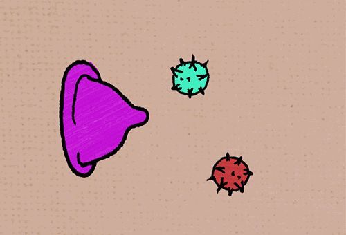 淋病检查阳性会有记录吗 淋病检查阳性会有记录吗