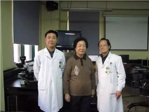 艾滋病必须建档(艾滋病建档后对出行有影响吗) 艾滋病必须建档(艾滋病建档后对出行有影响吗)