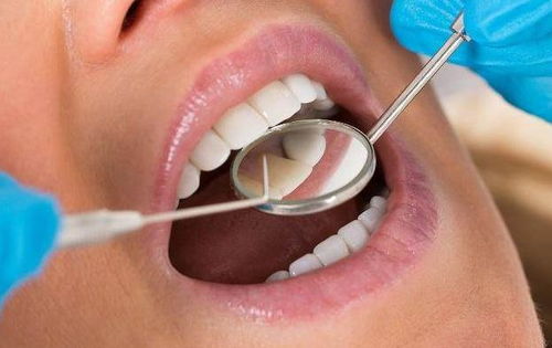 ֪��ʶȤ_֪��ʶȤ��ǧ����ʲô��˼