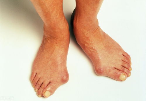 第一学历第一学历填什么 第一学历第一学历填什么