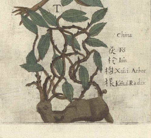 蒋雯丽出席世界艾滋病日公益音乐会 为艾发 蒋雯丽出席世界艾滋病日公益音乐会 为艾发