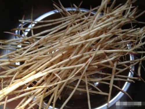 哪些人更易得梅毒专家说免疫力过低人群更易感染梅毒 哪些人更易得梅毒专家说免疫力过低人群更易感染梅毒