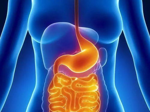 肺结核刚开始有哪些症状 肺结核刚开始有哪些症状