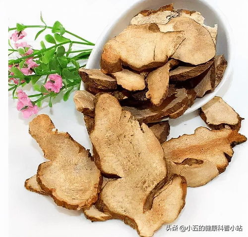 ÷�����ھ������������