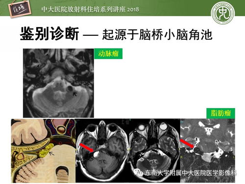 男人四十要出嫁演员表 男人四十要出嫁演员表