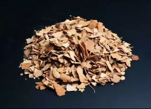 同治帝死因之谜 同治皇帝的真正死因(感染性病死亡梅毒) 同治帝死因之谜 同治皇帝的真正死因(感染性病死亡梅毒)