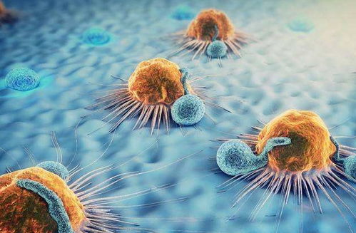 ÷��������Ů���� ÷��������Ů���ʴ���