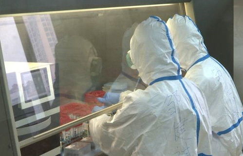 �����ͼ �������ͼ