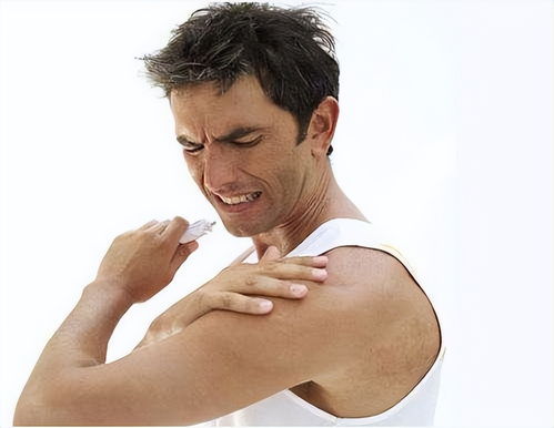 �ܲ������� �ܲ�����������������