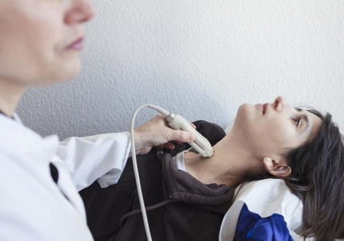 ���Ӿ绶����2��Ա��