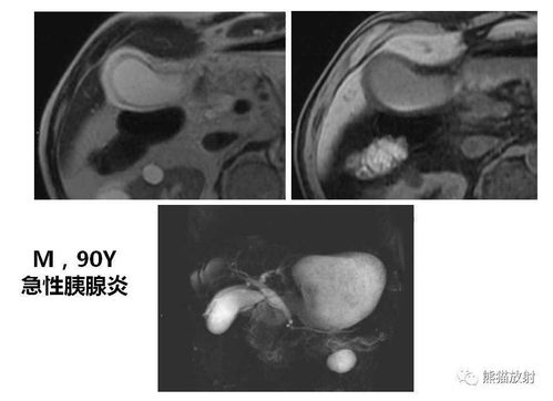 �׶�԰��ʦ �׶�԰��ʦ�б�����