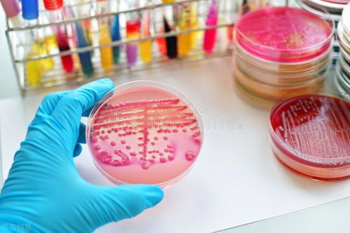 急救中心艾滋病 艾滋病急救电话 急救中心艾滋病 艾滋病急救电话